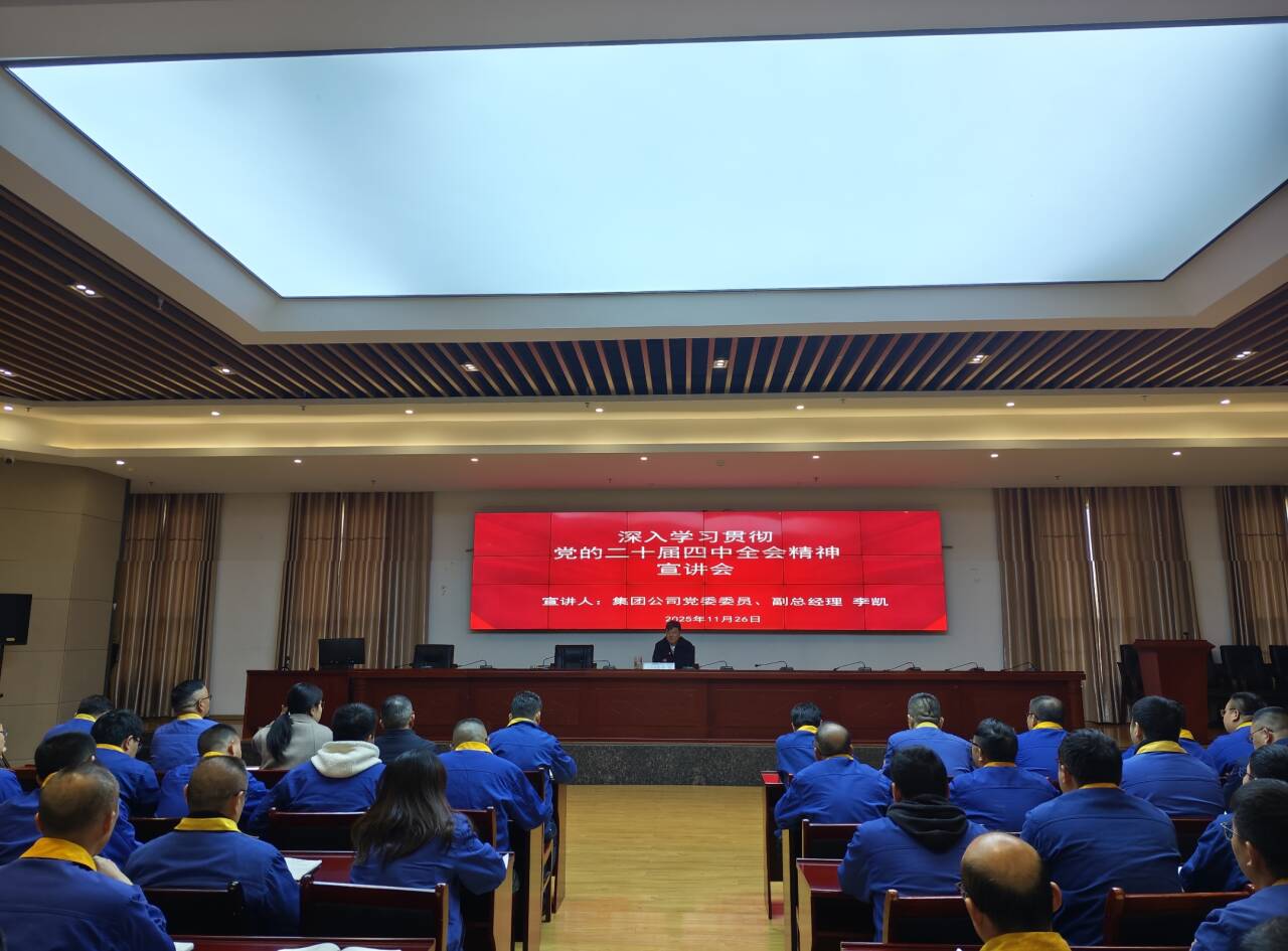 李凱到能礦錳業(yè)宣講黨的二十屆四中全會(huì)精神